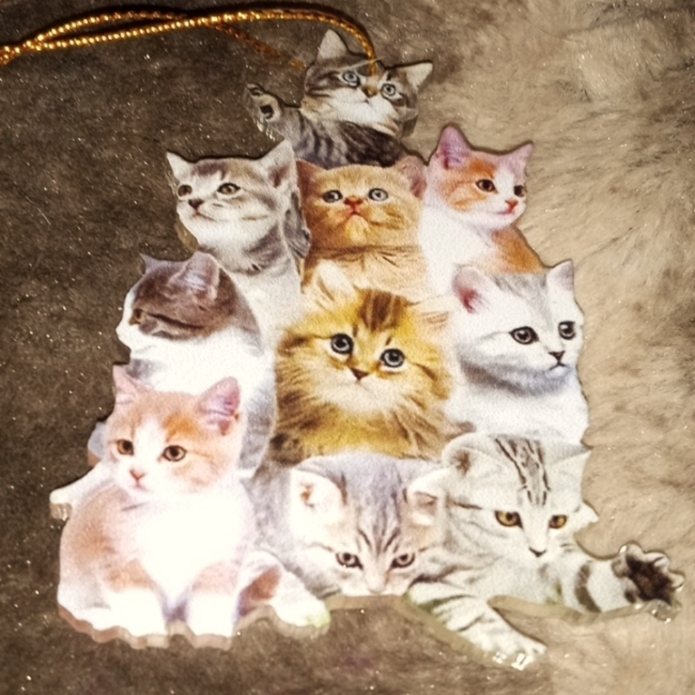 BUNDLE 10 KITTENS ACRYLIC TWO-SIDED HANGING CAR MIRROR /PURSE - Picture 2 of 2